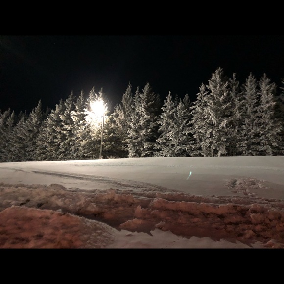 Meet your Posher, Maren - Picture 1 of 1